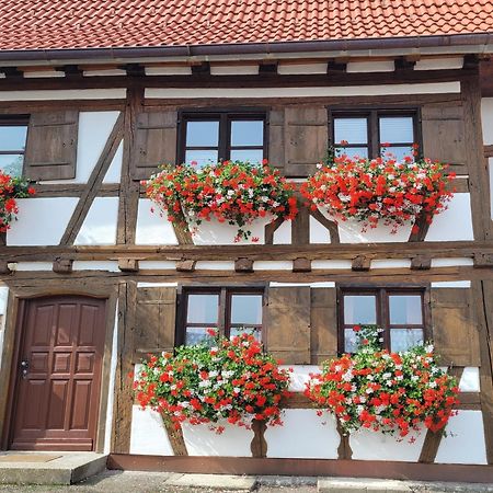 Ferienwohnung Hiemer Bad Grönenbach エクステリア 写真