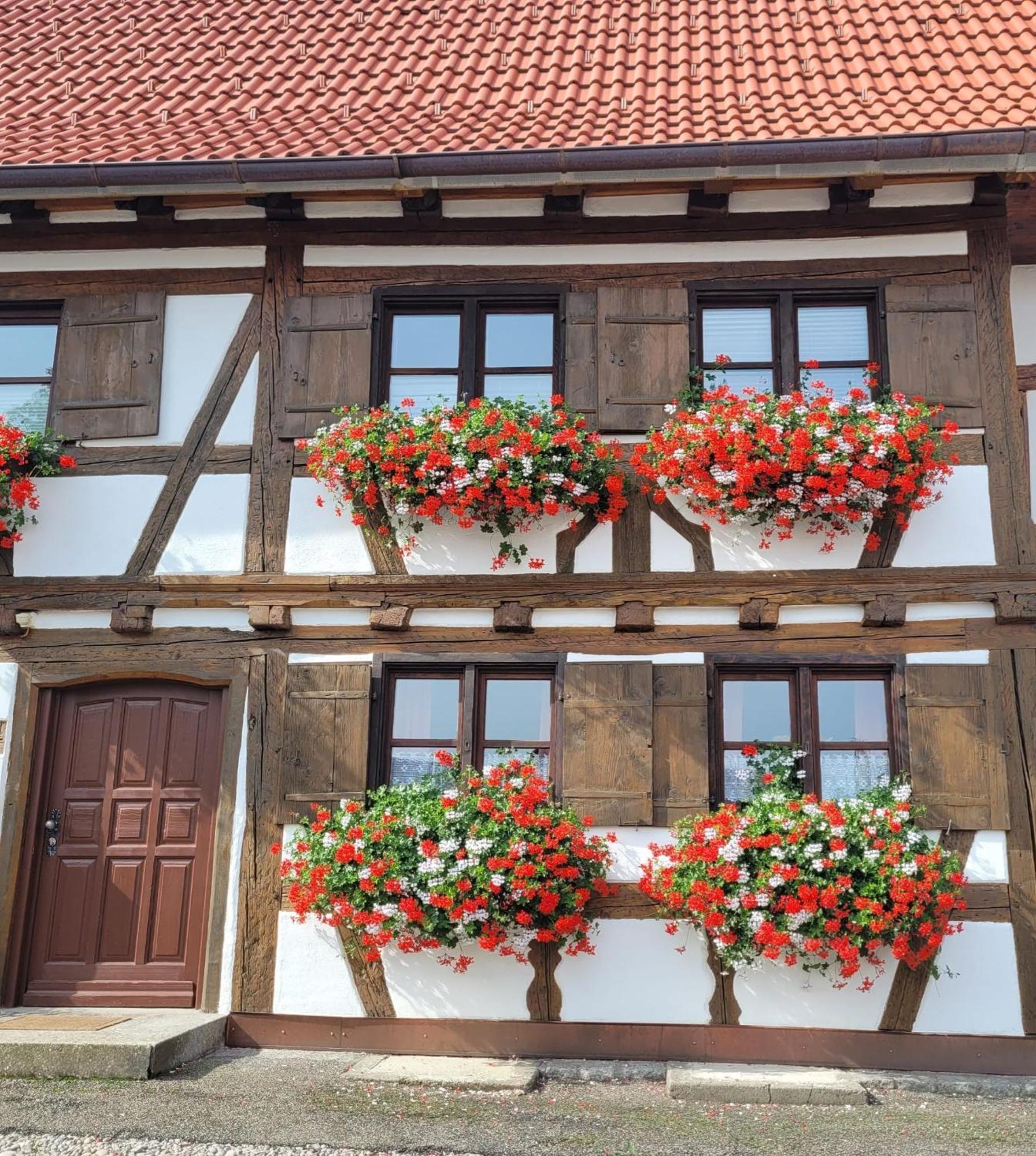 Ferienwohnung Hiemer Bad Grönenbach エクステリア 写真